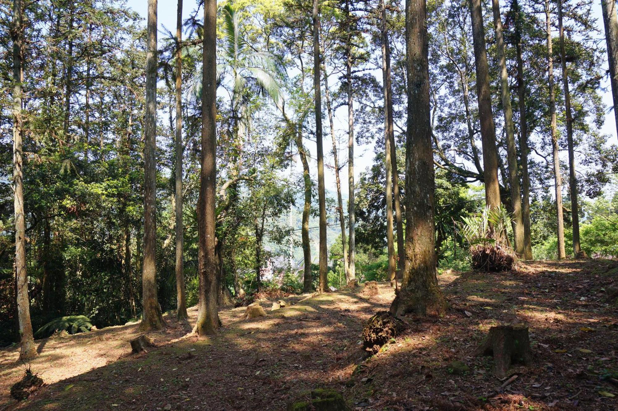 Li Jin Kuan Homestay Nanzhuang Bagian luar foto